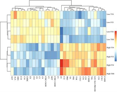 Thyroid hormones and carnitine in the second trimester negatively affect neonate birth weight: A prospective cohort study